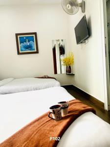 Phòng Đôi hoặc 2 giường đơn Lớn (Large Double or Twin Room)