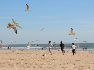 Appartements Appartement calme avec terrasse, garage, proche plage et marche - Saint-Jean-de-Monts - FR-1-323-145 : photos des chambres