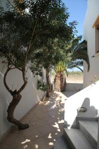 Polemis Studios & Apartments Naxos Greece