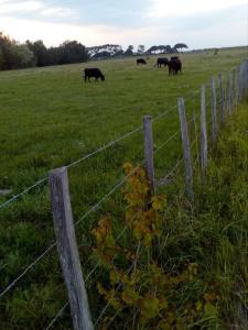 appartement Aigues-Mortes