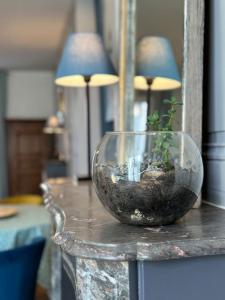 Appartements Le jardin secret - Jardin/Loire : photos des chambres