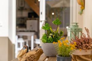 Loft 35 - private parking img47