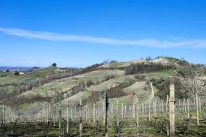 Il canto del gallo casa vacanza