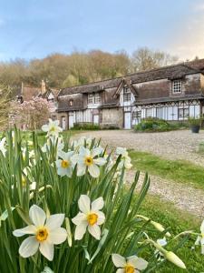 Maisons d'hotes Le Manoir by CauxCottes : photos des chambres