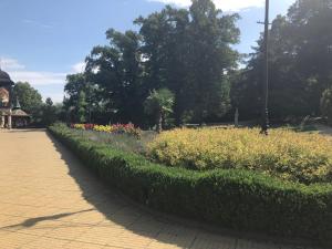 Olivia apartament przy deptaku