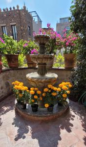 Casa Adriana beauty with no boundaries!