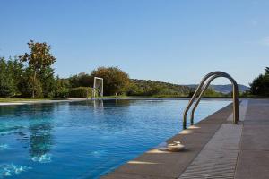 Flyin High Luxury Suite