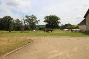 Maisons de vacances Maison a la campagne proche d'un centre equestre : photos des chambres