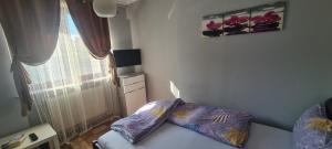 Comfort Home Apartment 1