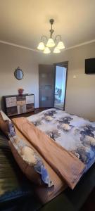 Comfort Home Apartment 1