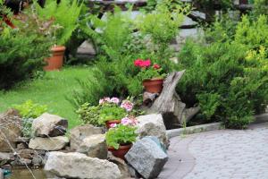 AQUARIUS Eco-Hotel-Grill-Restaurant