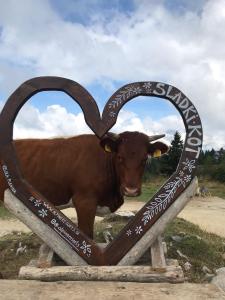 Chalet Korosica Velika Planina