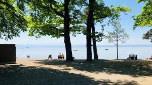 Apartment SEEside am Frei- und Seebad Fischbach