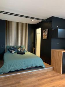 Appartement avec jacuzzi dans la chambre et piscine aux beaux jours