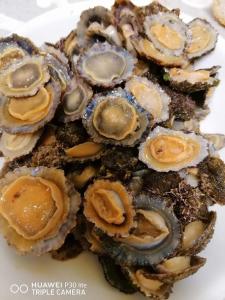 Appartamento vista mare Posidonia img54