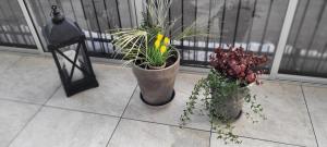 Graniitti - 4hvězdičkové hotely ve městě Hanko