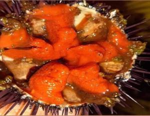 Appartamento vista mare Posidonia img52