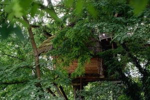 Campings Cabane Perchee dans les Arbres : photos des chambres