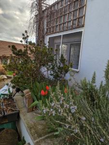 Appartements Joli gite proche Strasbourg : photos des chambres