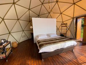 Casa Oro Glamping Hostel