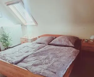 Panoramablick Hohenrode - Lauf