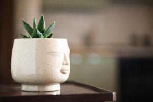 Zen House