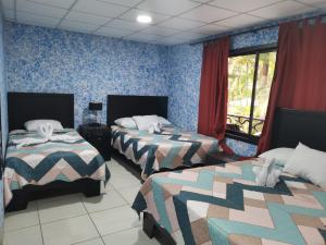 Hotel Palmera Real Hot Springs