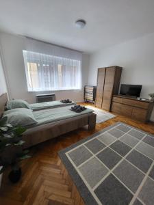 Downtown Studio Apartman