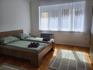Downtown Studio Apartman