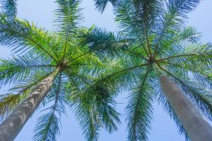 Casa Caracol Armonia