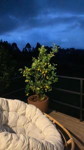 Cumbres Luxury Glamping