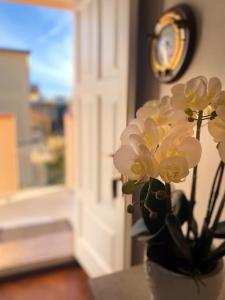 CityLoft Olbia img16