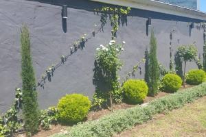 Studios on 2nd - Studio 1