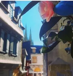 Au COCON QUIMPEROIS - 洛克罗南