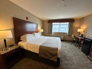 King Room - Pet Friendly/Non-Smoking room in Wyndham Garden Arlington/Marysville