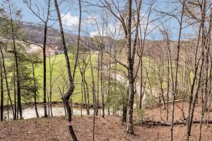 Bear Creek Cabin, Hot Tub, WIFI, Cozy Cabin Retreat in the Smokies Comfort & Fun for All