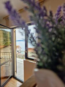 Apartments by the sea Podaca, Makarska - 6874