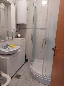 Apartments by the sea Susica, Ugljan - 20758