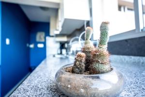 CASA AZUL Primera linea mar I Playa Mansa Parada 10 Edificio Isla de Gorriti