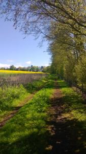 Old Farm Holiday Cottages - Scottish Borders