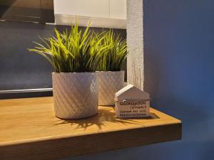 Apartments with parking space Rovinj - 19655