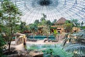 Maisons de vacances Bungalow de 3 chambres avec piscine partagee et jardin amenage a Onzain : photos des chambres