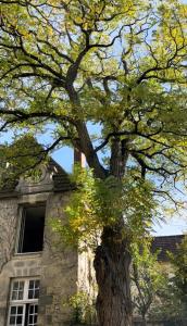 Maisons d'hotes Maison Saint Joseph : photos des chambres