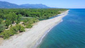 Appartements Superbe T2 Sognu di Mare : photos des chambres