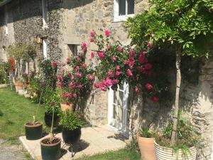 B&B / Chambres d'hotes Chez Thomas 7 Route du Monde Ancien : photos des chambres