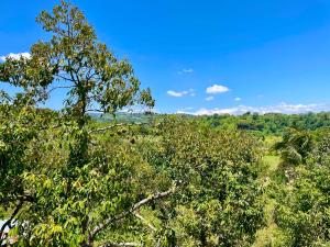 Felcordz Nature Farm & Resort