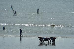 Appartements Les Herbages : photos des chambres
