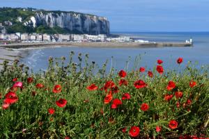 Appartements Les Herbages : photos des chambres