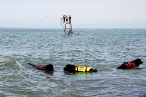 Appartements Les Herbages : photos des chambres