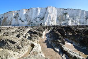 Appartements Les Herbages : photos des chambres
